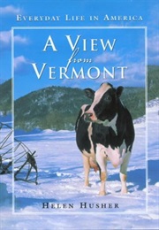 A View From Vermont: Everyday Life in America (View From) (Helen Husher)