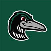 Great Lakes Loons (A+)