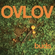 Ovlov - Buds
