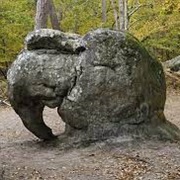 Forest of Fontainebleau Biosphere Reserve, France