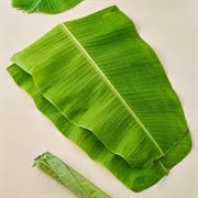 Banana Leaf