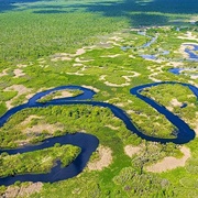 Berezinsky Biosphere Reserve, Belarus