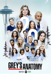 Grey's Anatomy Season 20 (2024)