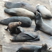 Cruise Ensenada, Mexico