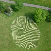 'Fingermaze'