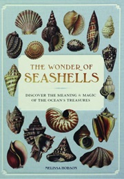 The Wonder of Seashells (Melissa Hobson)