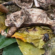 Mumu (Papua New Guinea)