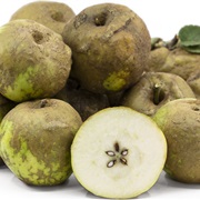 Knobbed Russet Apple