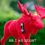 S20.E8: Am I an Idiom?