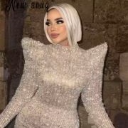 Long Sleeves With Pointed Shoulder Puffs