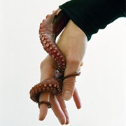 Arms (Torbjørn Rødland)