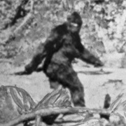Bigfoot