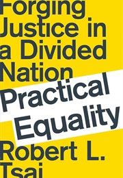 Practical Equality: Forging Justice in a Divided Nation (Robert L. Tsai)