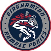 Binghampton Rumble Ponies (AA)