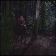 Stargate: SG-1: "Uninvited" (S10,E5)