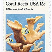 Coral Reefs