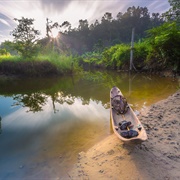 Siberut National Park, West Sumatra, Indonesia
