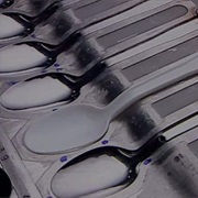 S4.E10: Plastic Cups & Cutlery/Special Effects Makeup/Gold/Harps