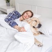 Cuddle With Your Pet