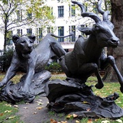 The Lioness and the Lesser Kudu