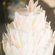 Chocolate Shards on Cake