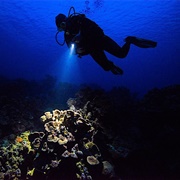 Night Diving