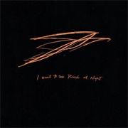 Andrew Bird - I Want to See Pulaski at Night