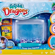 Aqua Dragons