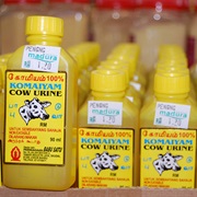 Cow Urine Soda