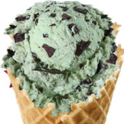 Mint Chocolate Chip Ice Cream