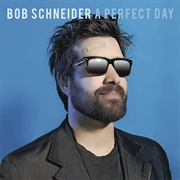 A Perfect Day - Bob Schneider