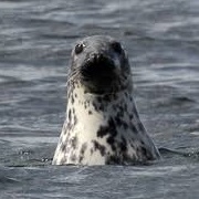 Southeast Rügen Biosphere Reserve, Germany