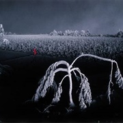 After the Volcano (Philippe Bourseiller)