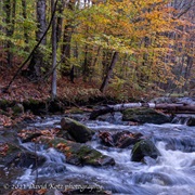 Grant Brook, Lyme, NH
