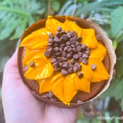 Sunflower Cake