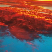 Fluisteraars - Manifestaties Van De Ontworteling