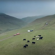 S31.E2: Episode #31.2