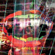 Today's Supernatural - Animal Collective