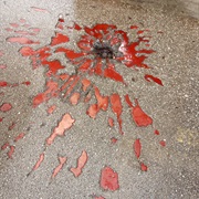 Sarajevo Roses, Bosnia and Herzegovina