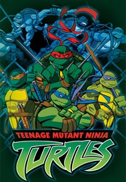 Teenage Mutant Ninja Turtles (2004)