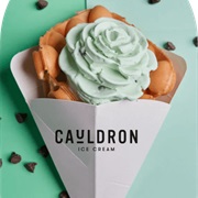 Mint  Chocolate Chip