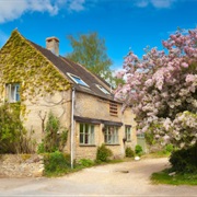 Spring Blossoms, England
