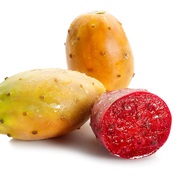 Prickly Pear