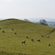 Robin Hood's Hill