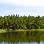 Mohegan Lake, New York