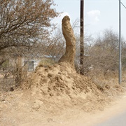 Common Ground 02 (Dillon Marsh)