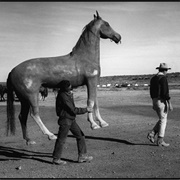 John Wayne on the Set of the Alamo (Dennis Stock)
