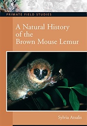 A Natural History of the Brown Mouse Lemur (Sylvia Atsalis)