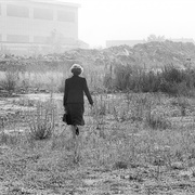 "The Walk in the Wilderness" (John Voos)