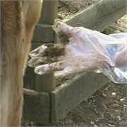 Jackass: "Jai Alai" (S2,E2)